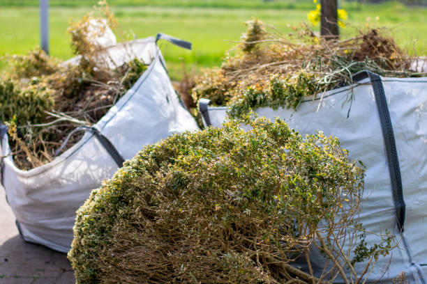 Trusted Pimlico, SC Junk Removal Experts